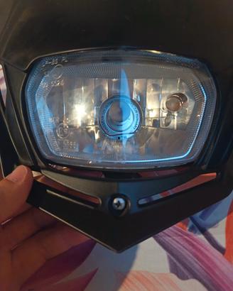 fanale vface