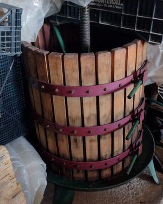 Attrezzatura completa per produzione vino