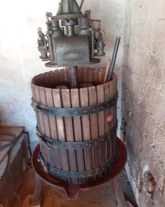 torchio