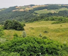 Terreno seminativo e bosco