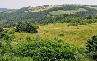 Terreno seminativo e bosco