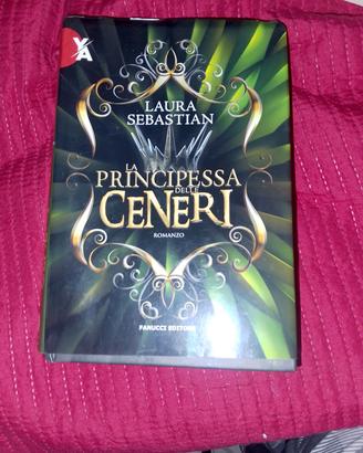 La principessa delle ceneri 