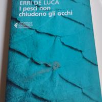 I pesci non chiudono gli occhi di Erri De Luca