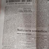 Piu di 100 kg di ritagli di giornale