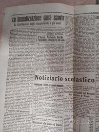 Piu di 100 kg di ritagli di giornale