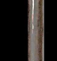 FISCHIO NAVALE A CANNA D'ORGANO - CANADA 1944