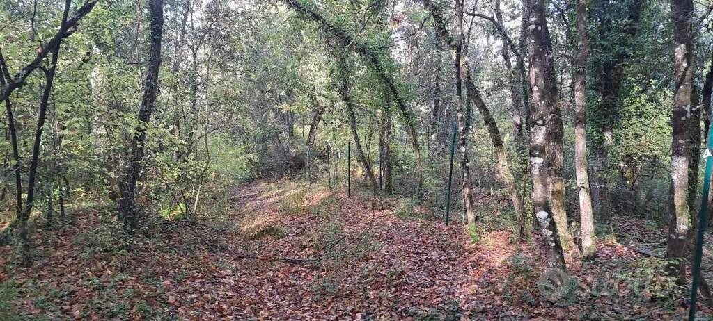 Immobile in asta di 9190 m² a Rapolano Terme - Vista 2