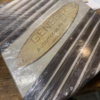 Genesis stereo 100