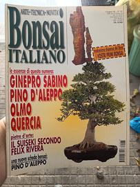 rivista n. 65 BONSAI ITALIANO 