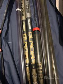 Roubasinne tubertini carpa