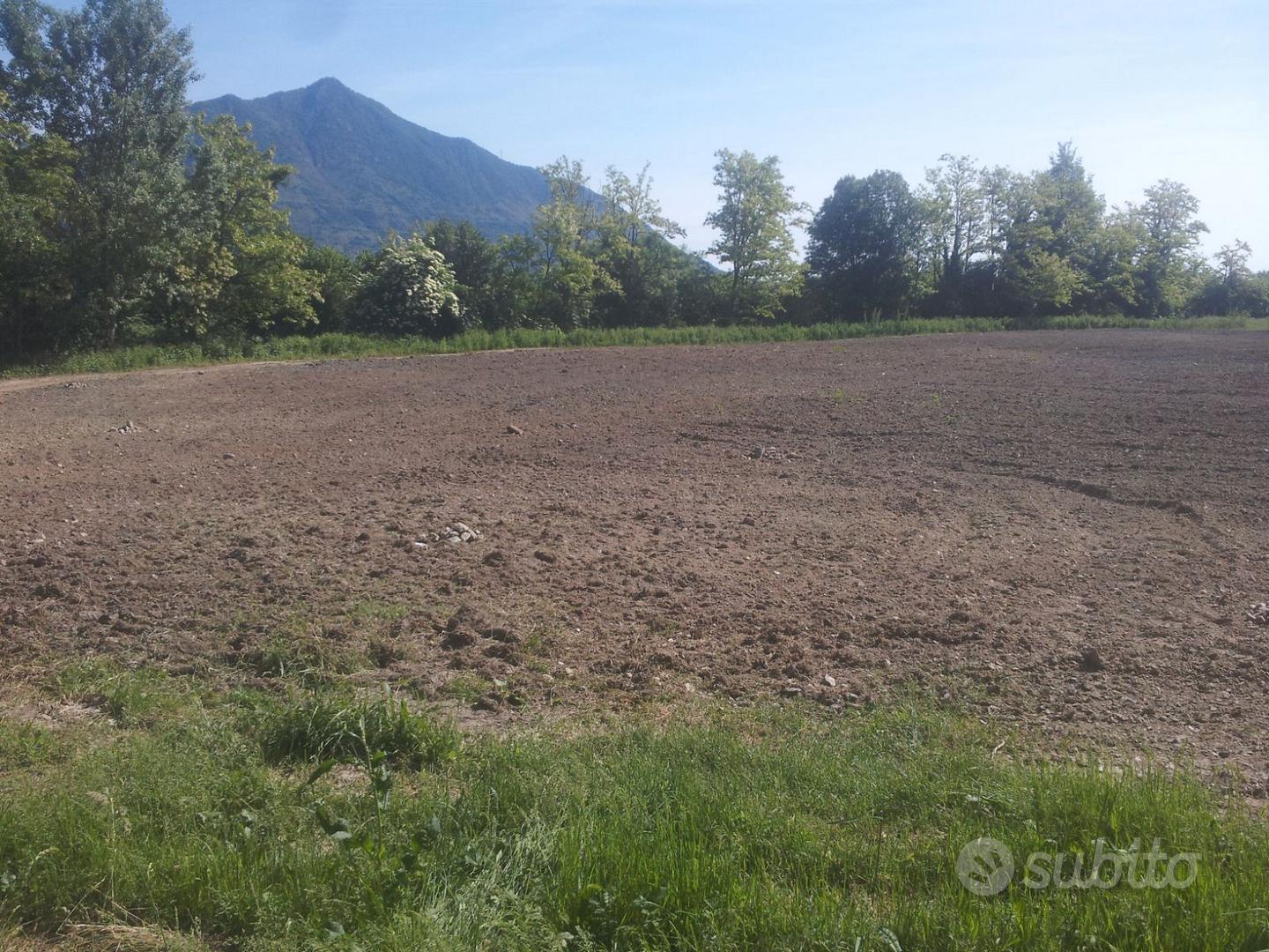 Terreno Agricolo 24.000 mq - Vista 5