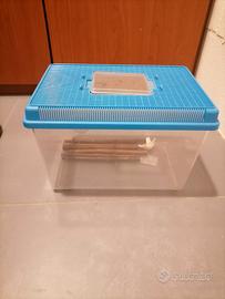 teca per geco o piccoli rettili