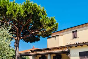 Per Capodanno alloggi attigui per comitiva