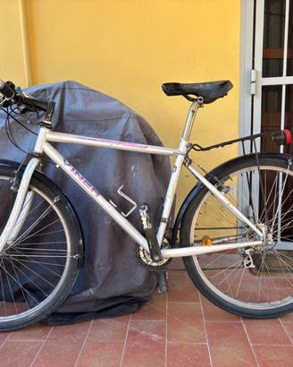 Mountain bike con para fanghi  e  per città