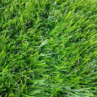 Tappeto erboso sintetico + kit montaggio