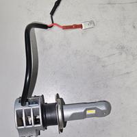 1 lampadina led Osram per Auto