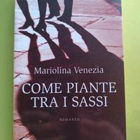 come piante tra i sassi. romanzo