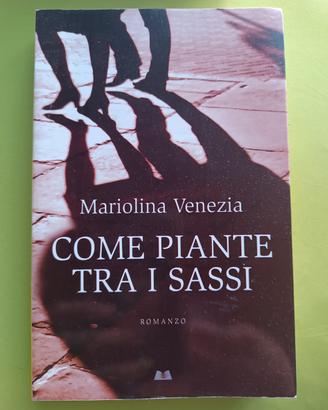 come piante tra i sassi. romanzo