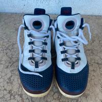 Scarpe da Basket Lebron n.41