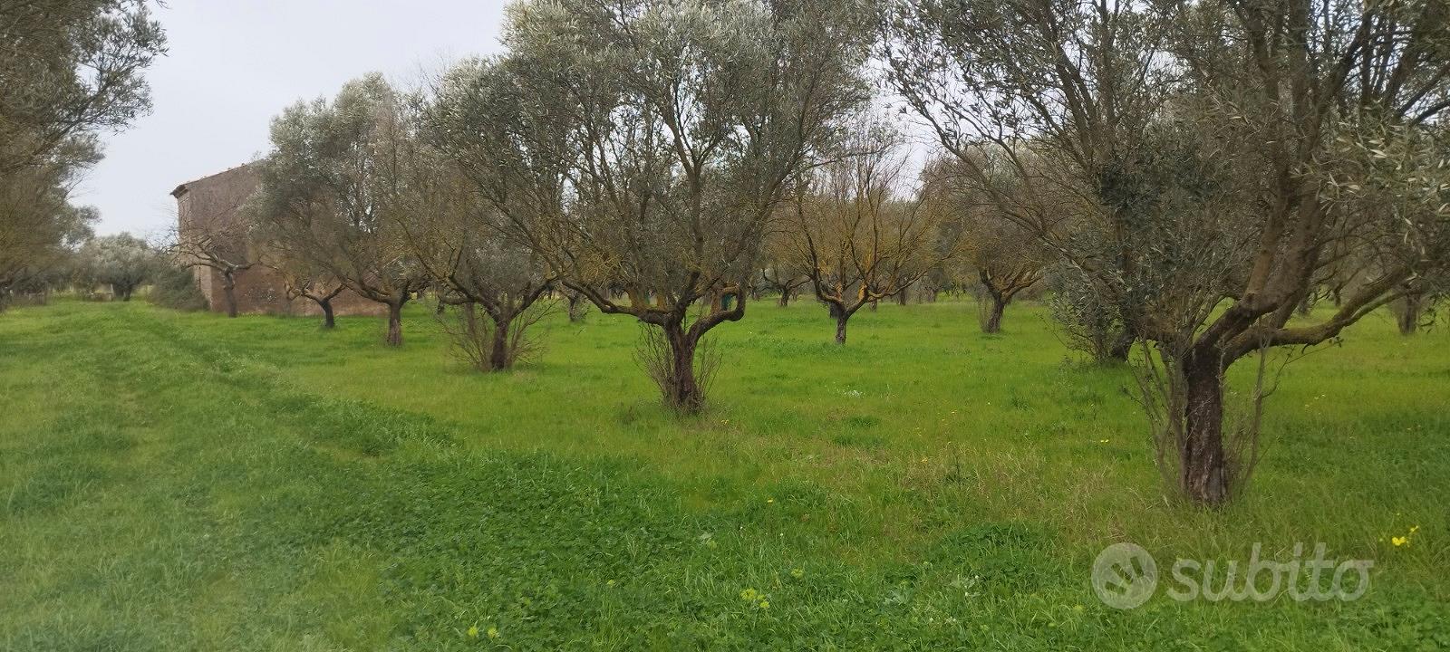 Terreno con casale - Vista 2