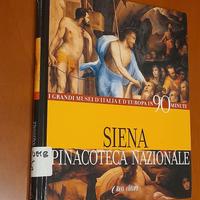 Siena pinacoteca nazionale vol.11 - Class Editori