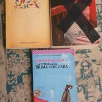 Lotto di libri di narrativa anglofona (vari)