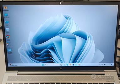 HP EliteBook i5-10210U 8GB 238GB SSD Win11