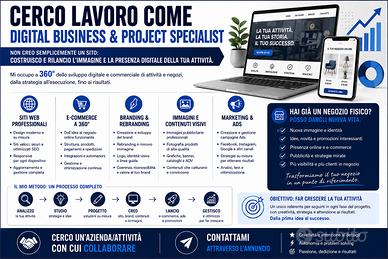 Creazione e gestione ecommerce