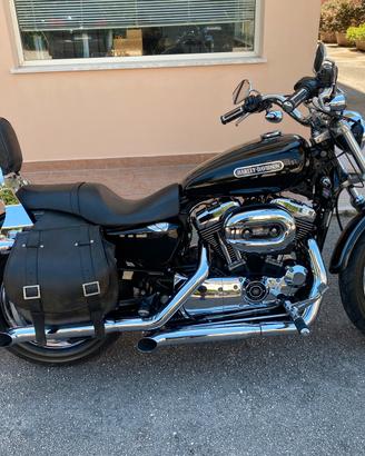 Sportster 1.2 harley davidson