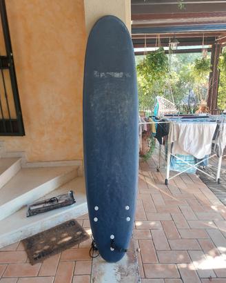 tavola da surf