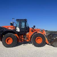 Pala gommata HITACHI ZW 250-5B