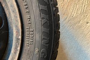 Gomme invernali