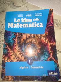 Libro Matematica liceo