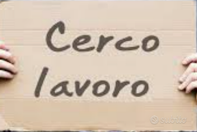 Lavapiatti aiuto cuoco