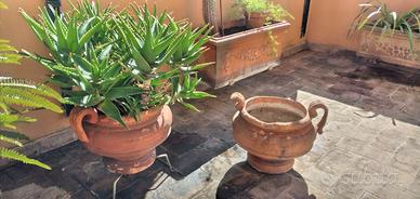 Antichi vasi coppe terracotta manici € 120,00 cad