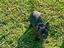 Immagine 4
