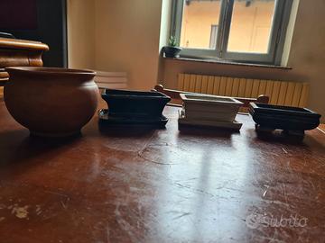 3 vasi bonsai + 1 in ceraminca