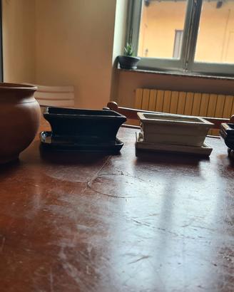3 vasi bonsai + 1 in ceraminca