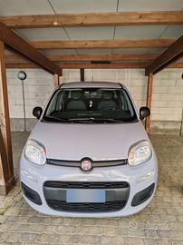 Panda 1.2  benzina