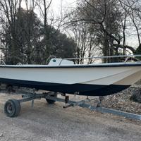 Boston whaler 17