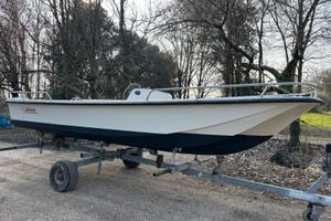 Boston whaler 17