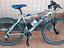 Immagine 2