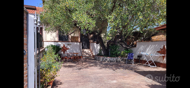 Appartamento Ascea Cilento