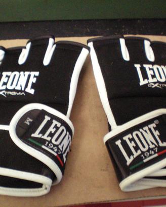 SACCO  DA PUGILE E GUANTI