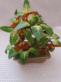 pianta ornamentale 