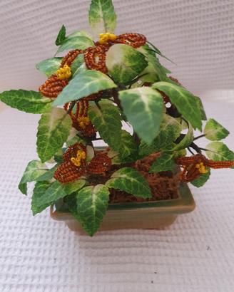 pianta ornamentale 