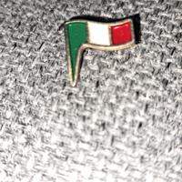 Spilla bandiera Italiana