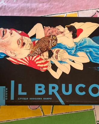 Manga il bruco
