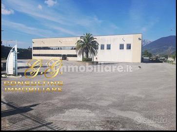 Capannone industriale 1400 mq S.Salvatore Telesino