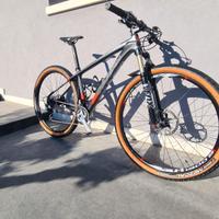 MTB  LEE COUGAN 29 CARBONIO